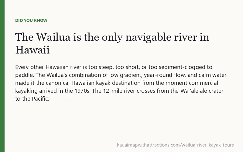 The Wailua is the only navigable river in Hawaii: Every other Hawaiian river is too steep, too short, or too sediment-clogged to paddle.