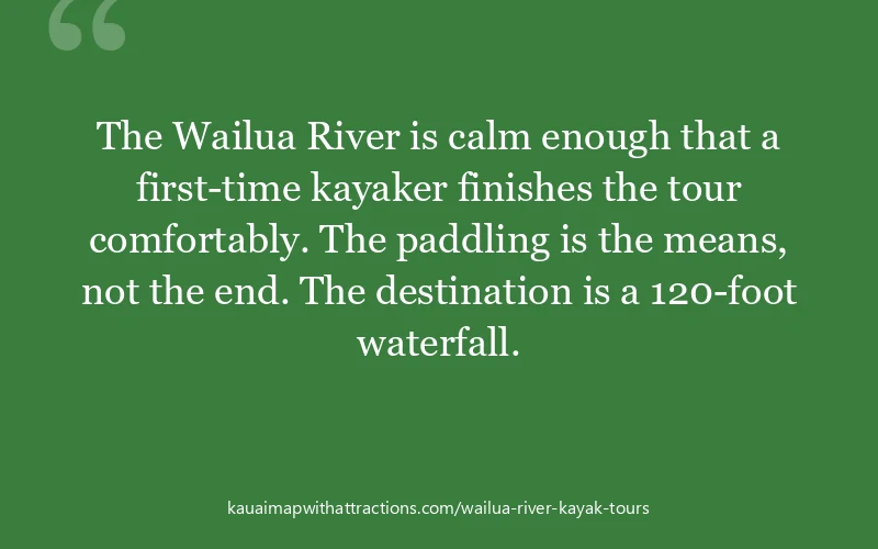The Wailua River is calm enough that a first-time kayaker finishes the tour comfortably. The paddling is the means, not the end. The destination is a ...